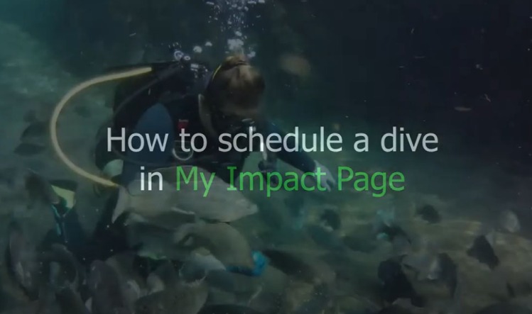 Scuba diver surrounded by a school of fish with the words "How to schedule a dive in My Impact Page"